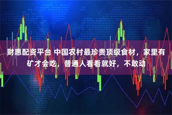 财惠配资平台 中国农村最珍贵顶级食材，家里有矿才会吃，普通人看看就好，不敢动